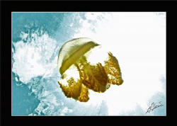 april 3rd was indeed a jelly day around Bida Nok & Bida N... by Adriano Trapani 